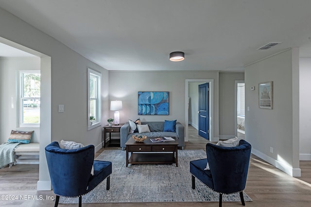 living room with hardwood / wood-style floors