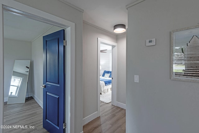 corridor featuring light wood-type flooring