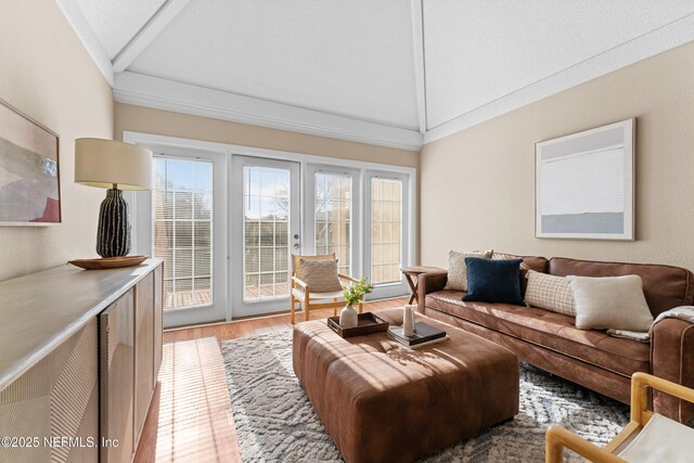 living room featuring vaulted ceiling and hardwood / wood-style floors