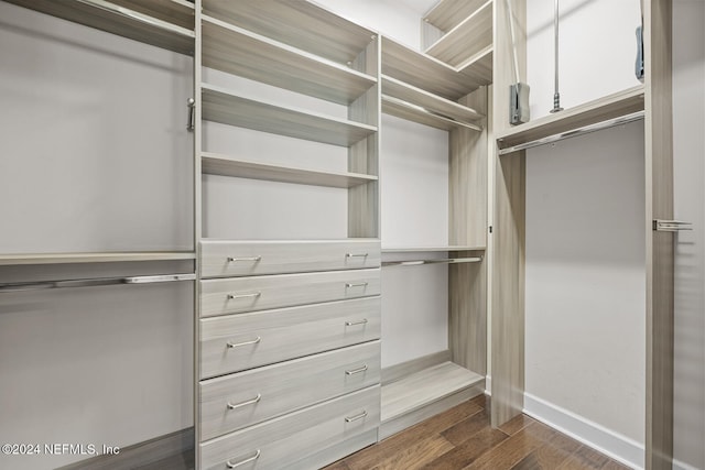 spacious closet with dark hardwood / wood-style flooring