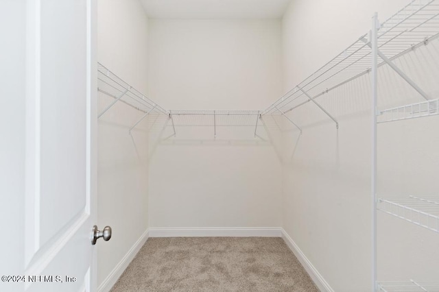 spacious closet featuring light colored carpet