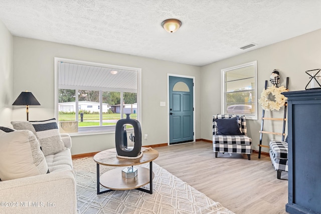 living room featuring hardwood / wood-style floors and a textured ceiling