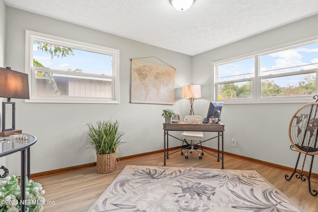 home office featuring a wealth of natural light, a textured ceiling, and light hardwood / wood-style flooring