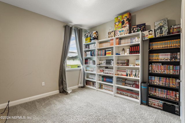 interior space featuring carpet