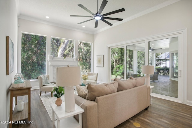 living room with ceiling fan, dark hardwood / wood-style floors, and ornamental molding