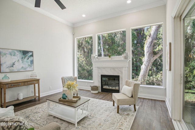 living room featuring wood-type flooring, a premium fireplace, and plenty of natural light