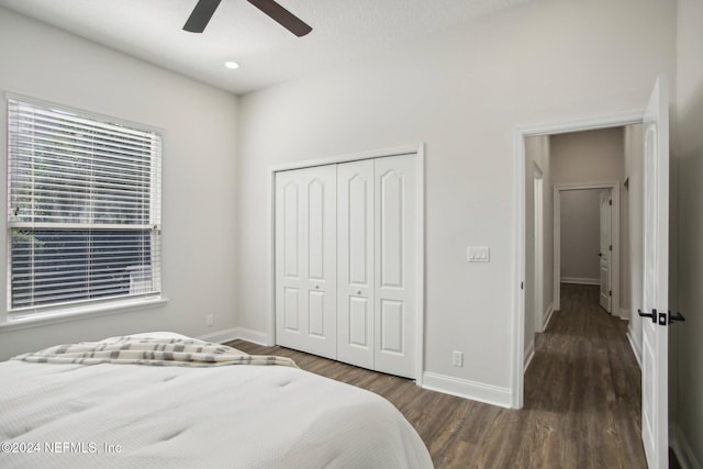 bedroom with ceiling fan, dark hardwood / wood-style floors, and a closet