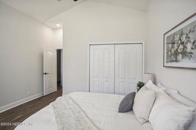 bedroom with high vaulted ceiling, dark hardwood / wood-style flooring, and a closet