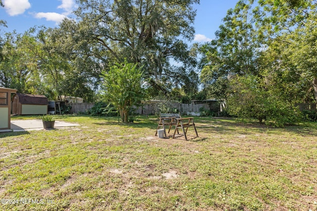 view of yard featuring a storage shed