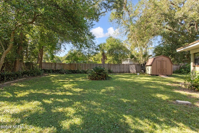 view of yard with a storage shed