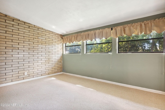 empty room featuring carpet and brick wall