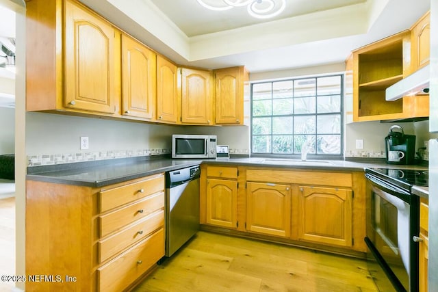 kitchen featuring a tray ceiling, sink, stainless steel appliances, and light wood-type flooring