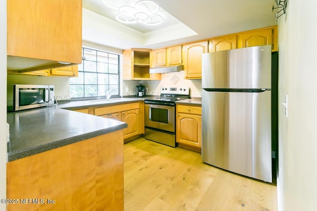 kitchen featuring sink, stainless steel appliances, light hardwood / wood-style flooring, a tray ceiling, and light brown cabinetry