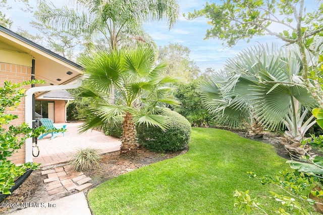 view of yard with a patio area