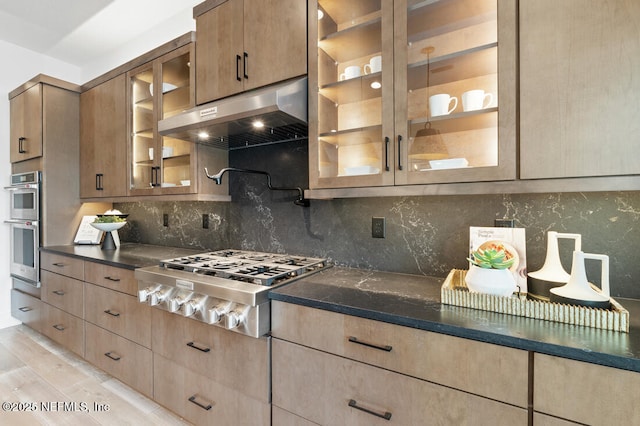 300 Hillendale Cir, Saint Johns, FL 32259 - kitchen with appliances with stainless steel finishes, under cabinet range hood, glass insert cabinets, and decorative backsplash