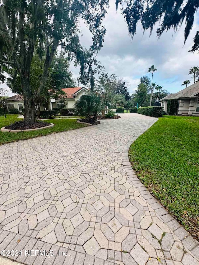 view of home's community with a lawn