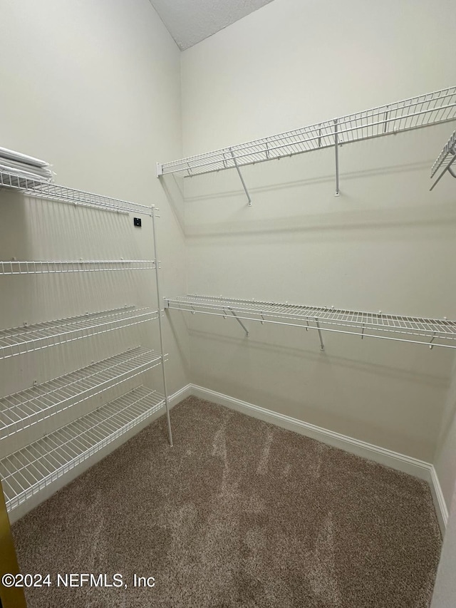 spacious closet featuring carpet flooring