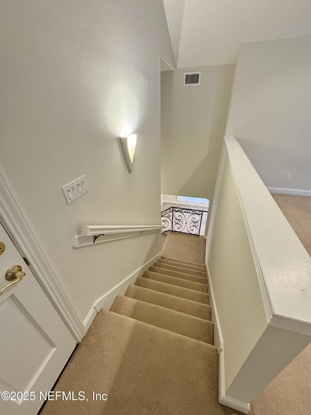 stairway featuring carpet floors