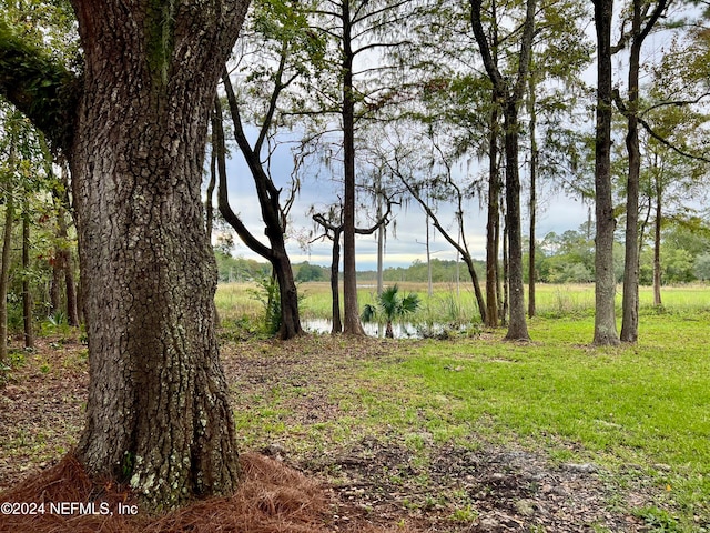 view of yard featuring a water view