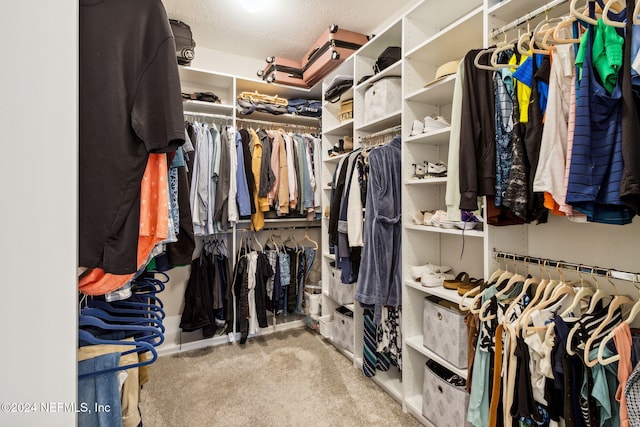 walk in closet featuring light colored carpet