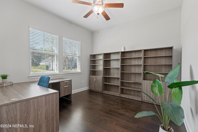 office featuring ceiling fan and dark hardwood / wood-style floors