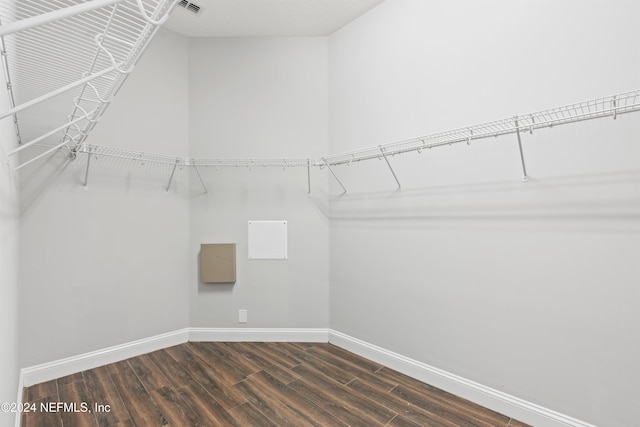 walk in closet featuring dark wood-type flooring