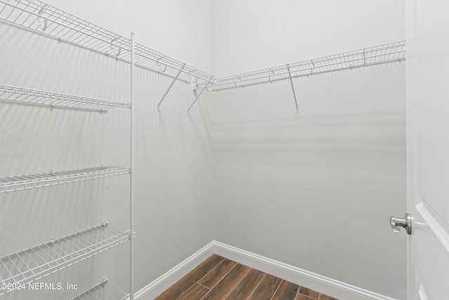 spacious closet featuring dark hardwood / wood-style floors