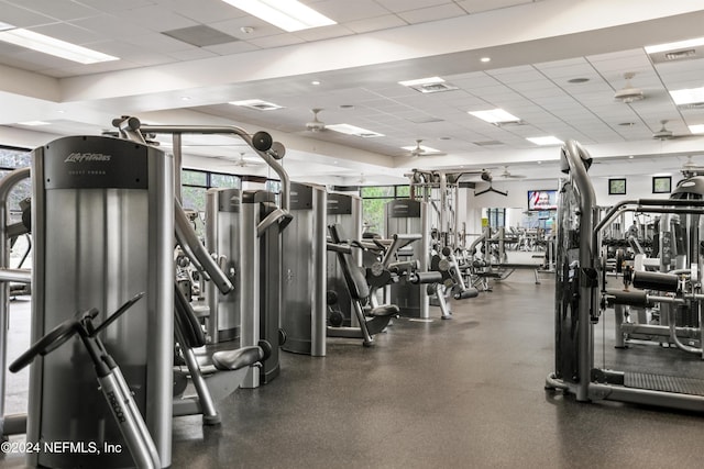 gym with a paneled ceiling, ceiling fan, and a healthy amount of sunlight