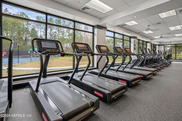 exercise room featuring ceiling fan and a drop ceiling