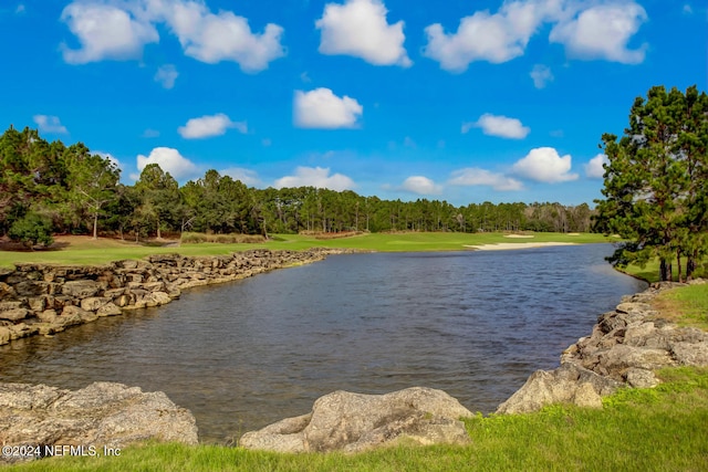 property view of water