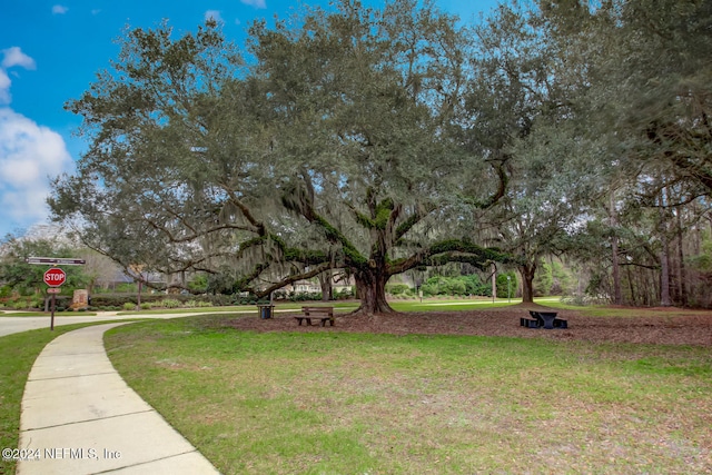 view of community with a yard