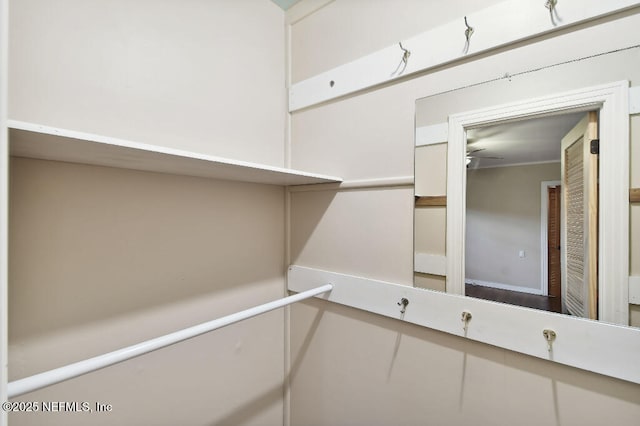 view of walk in closet