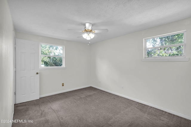 empty room featuring ceiling fan, plenty of natural light, and carpet