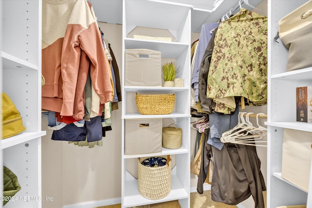 view of spacious closet