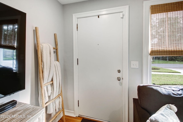 entrance foyer with hardwood / wood-style floors