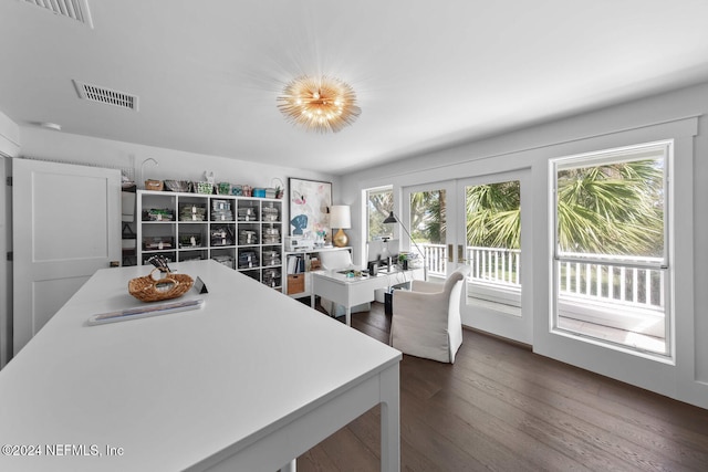 kitchen with french doors, a healthy amount of sunlight, and dark hardwood / wood-style floors