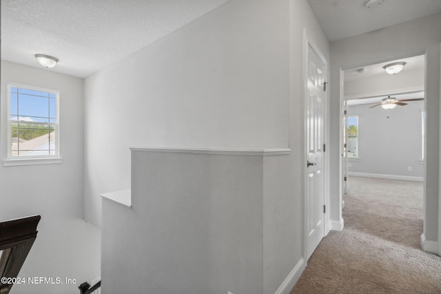 190 Autumn Bliss Dr, Saint Johns, FL 32259 - photo 25