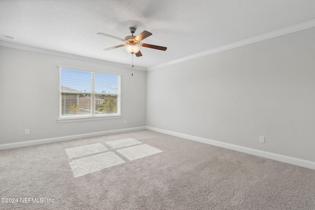 190 Autumn Bliss Dr, Saint Johns, FL 32259 - photo 30