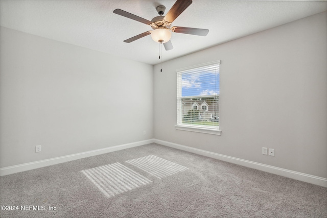 190 Autumn Bliss Dr, Saint Johns, FL 32259 - photo 45