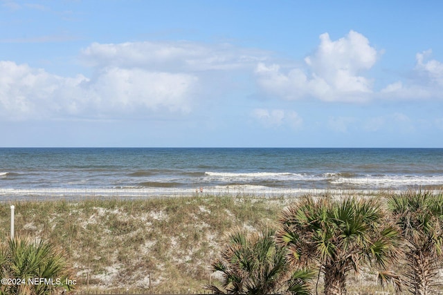 413 1st St S Unit 303, Jacksonville Beach, FL 32250 - property view of water with a beach view