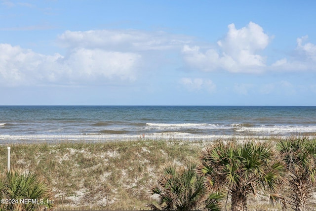 413 1st St S Unit 303, Jacksonville Beach, FL 32250 - photo 27
