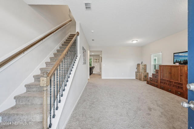 stairway featuring carpet