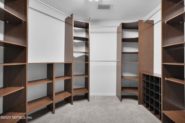 spacious closet with light colored carpet