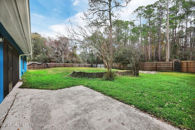 view of yard with a patio area