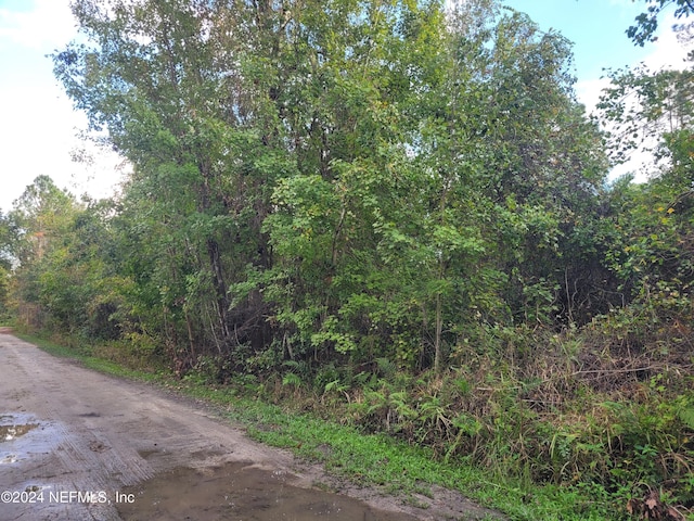0 Logan Ave, Crescent City, FL 32112 - photo 3