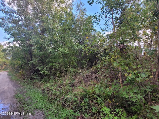 0 Logan Ave, Crescent City, FL 32112 - photo 4