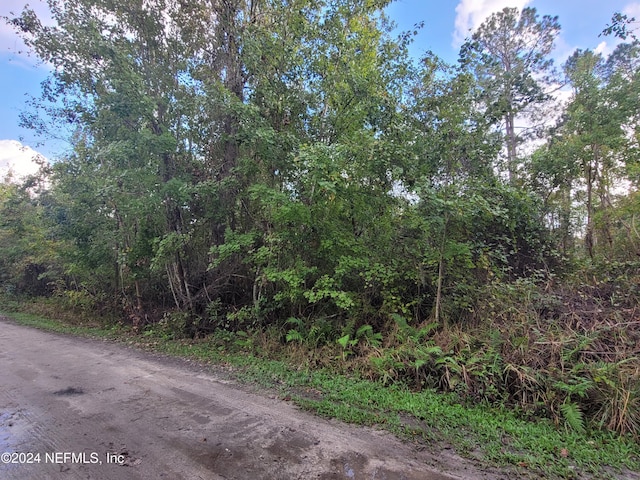0 Logan Ave, Crescent City, FL 32112 - photo 8