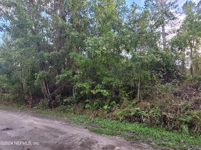 0 Logan Ave, Crescent City, FL 32112 - photo 16