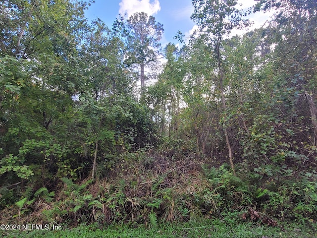 0 Logan Ave, Crescent City, FL 32112 - photo 9
