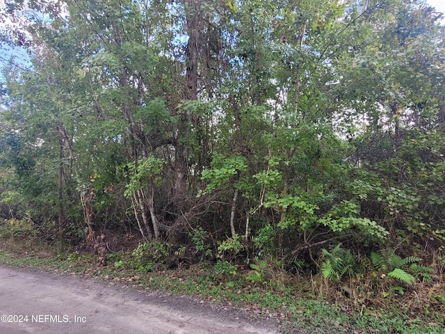 0 Logan Ave, Crescent City, FL 32112 - photo 10
